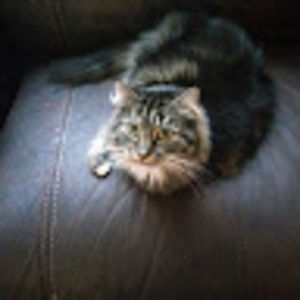 Meet your Posher, Isaiah